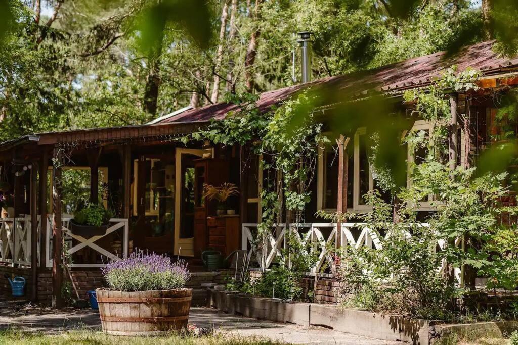 Forest Cottage With Lovely Garden & Sauna Doornspijk Exterior foto